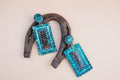 Dolly Western Earrings